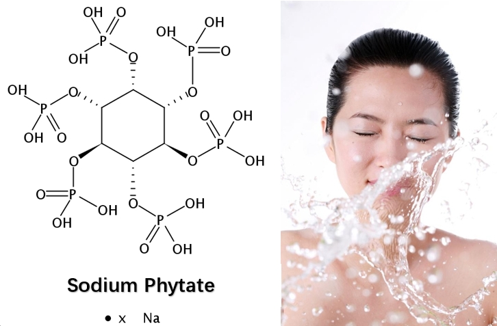 sodium phytate anti-aging