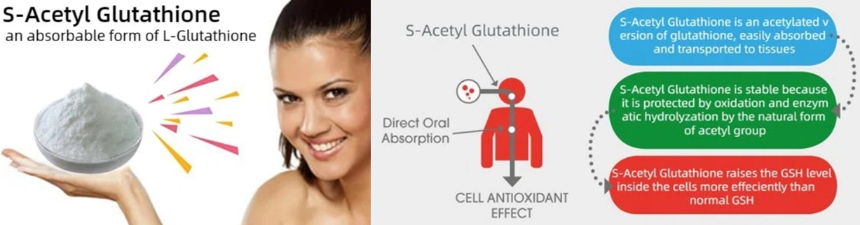 s-acetayl glutathione antioxidant